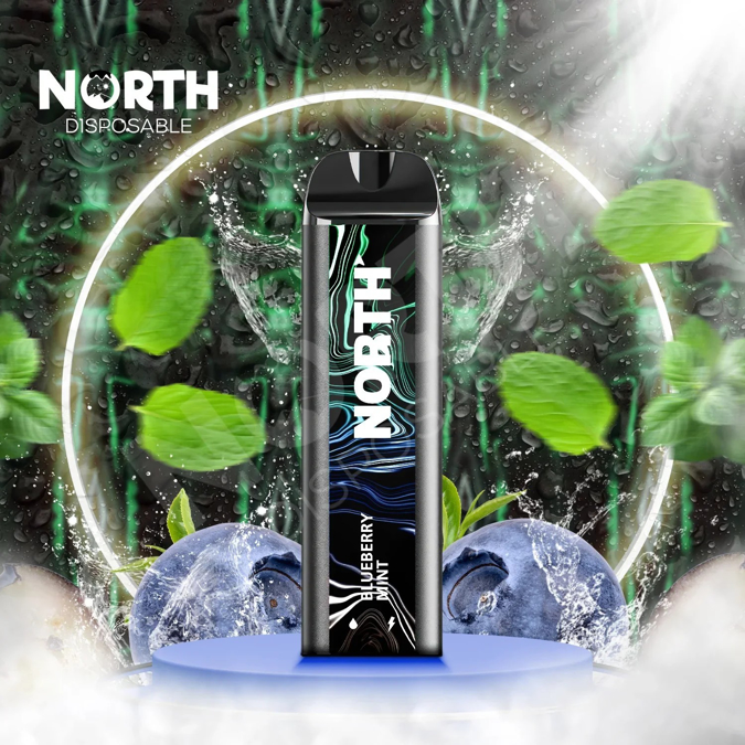 Picture of North Disposable 5000 Puffs 10ct/bx - Blueberry Mint 
