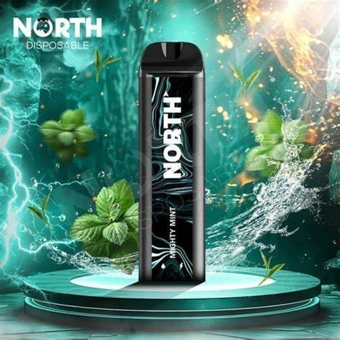 Picture of North Disposable 5000 Puffs 10ct/bx - Mighty MInt