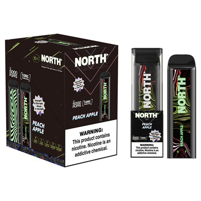 Picture of North Disposable 5000 Puffs 10ct/bx - Peach Apple