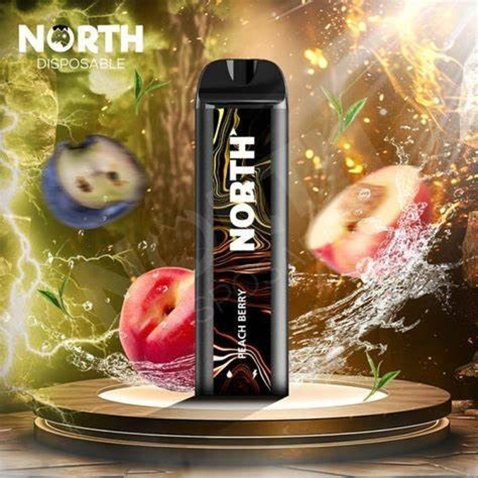 Picture of North Disposable 5000 Puffs 10ct/bx - Peach Berry