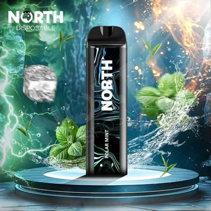 Picture of North Disposable 5000 Puffs 10ct/bx - Polar Mint