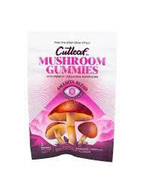 Picture of CUTLEAF GUMMIES MUSHROOM 1500G  DRAGON FRUIT 