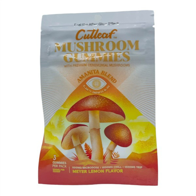 Picture of CUTLEAF GUMMIES MUSHROOM 1500G BLUEBERRY 