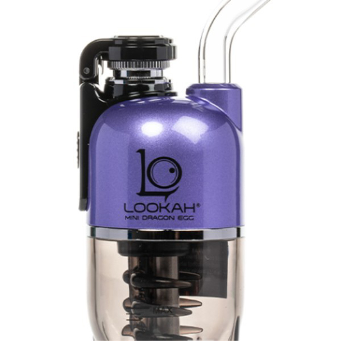 Picture of LOOKAH MINI DRAGON EGG KIT - PURPLE